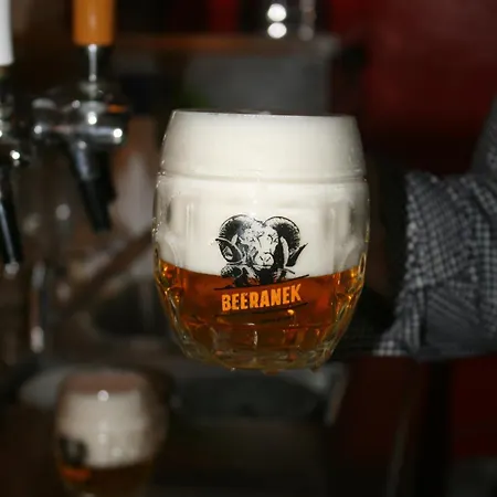 U Budvaru 3* Ceske Budejovice