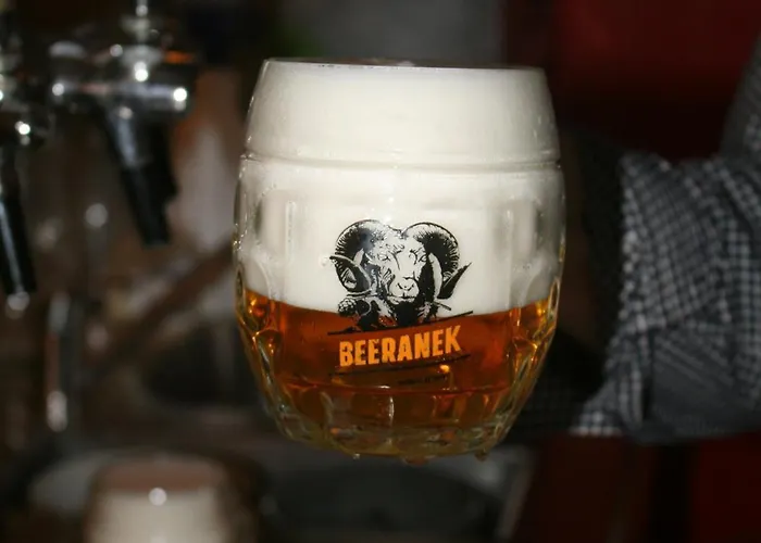 U Budvaru 3* Τσέσκε Μπουντεγιόβιτσε